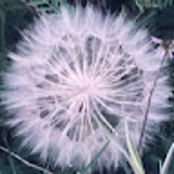 Meet your Posher, Eric l. - Picture 1 of 1